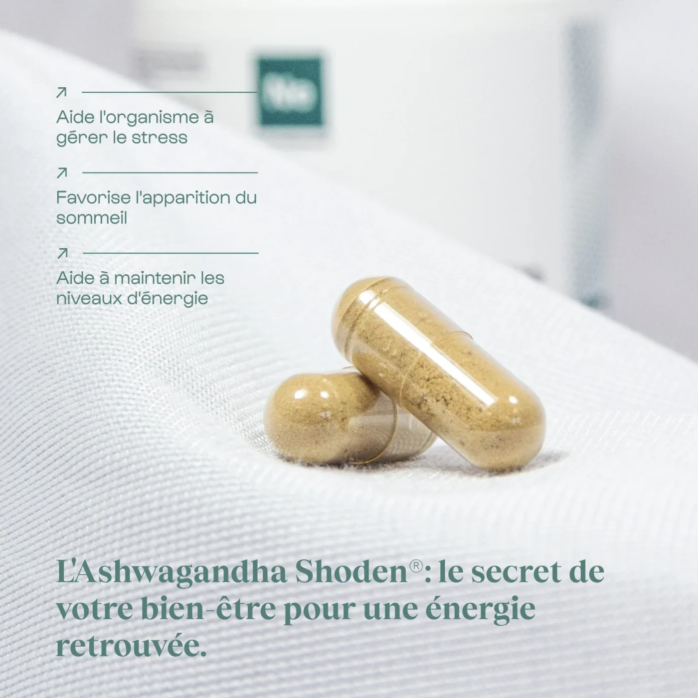 ASHWAGANDHA – Image 2